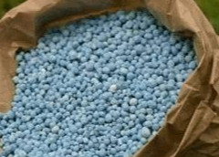 尿素多久被吸收？怎樣提高利用率？